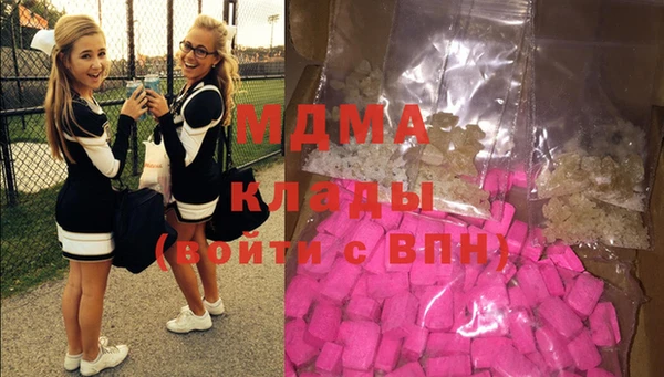 индика Тында