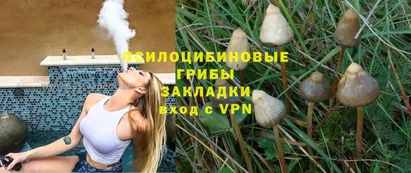 хмурый Вяземский