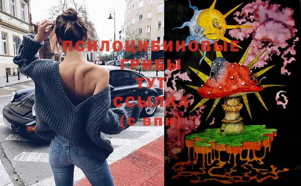 прущая мука Вязники