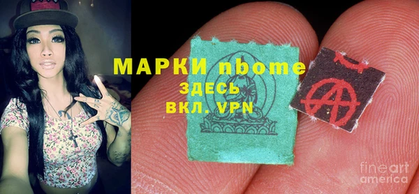 хмурый Вяземский