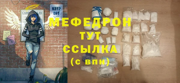 гидра Туринск