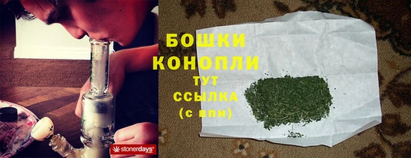 хмурый Вяземский