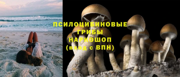 хмурый Вяземский