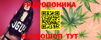 гашиш Можга