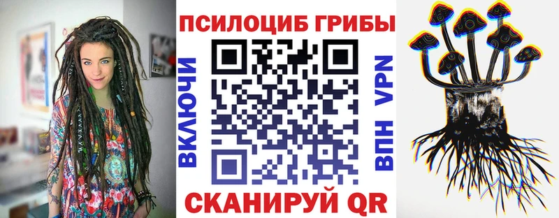 купить  сайты  Снежинск  Псилоцибиновые грибы прущие грибы 