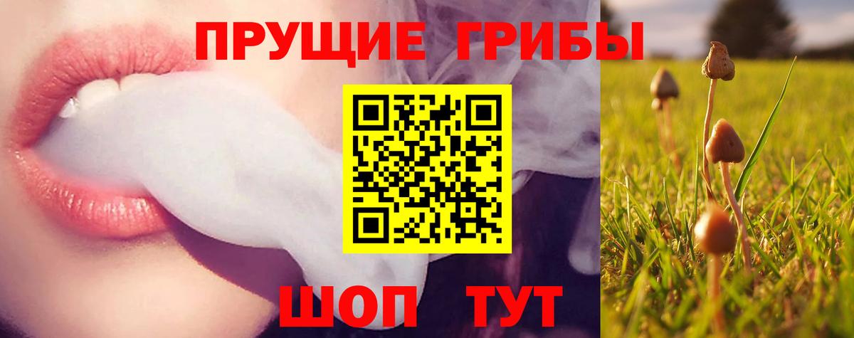 Галлюциногенные грибы прущие грибы  Галлюциногенные грибы Magic Shrooms  Снежинск  Вход с VPN 